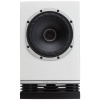 Fyne Audio F500 white